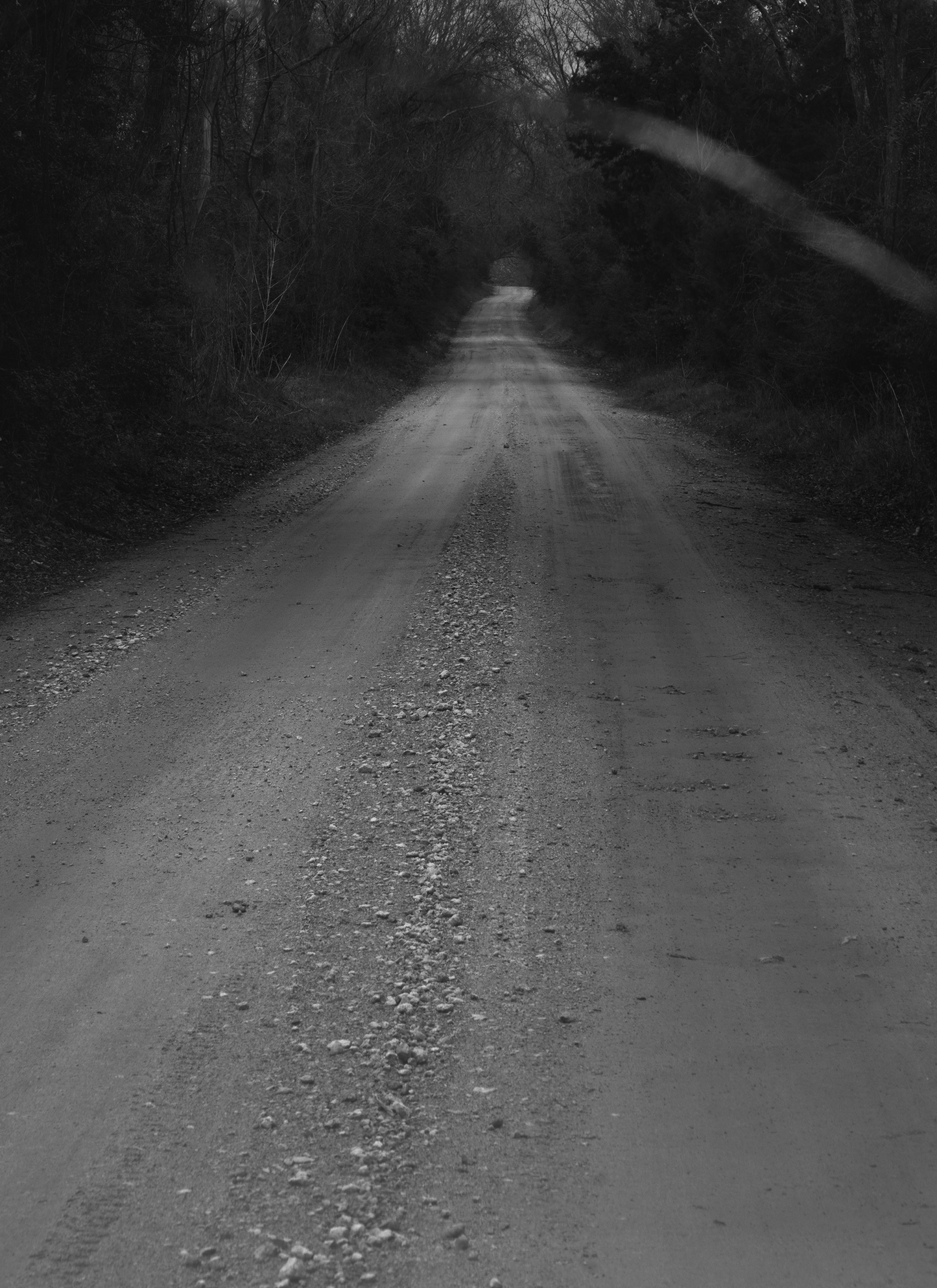 Trespasser - Bryan Schutmaat - County Road 5