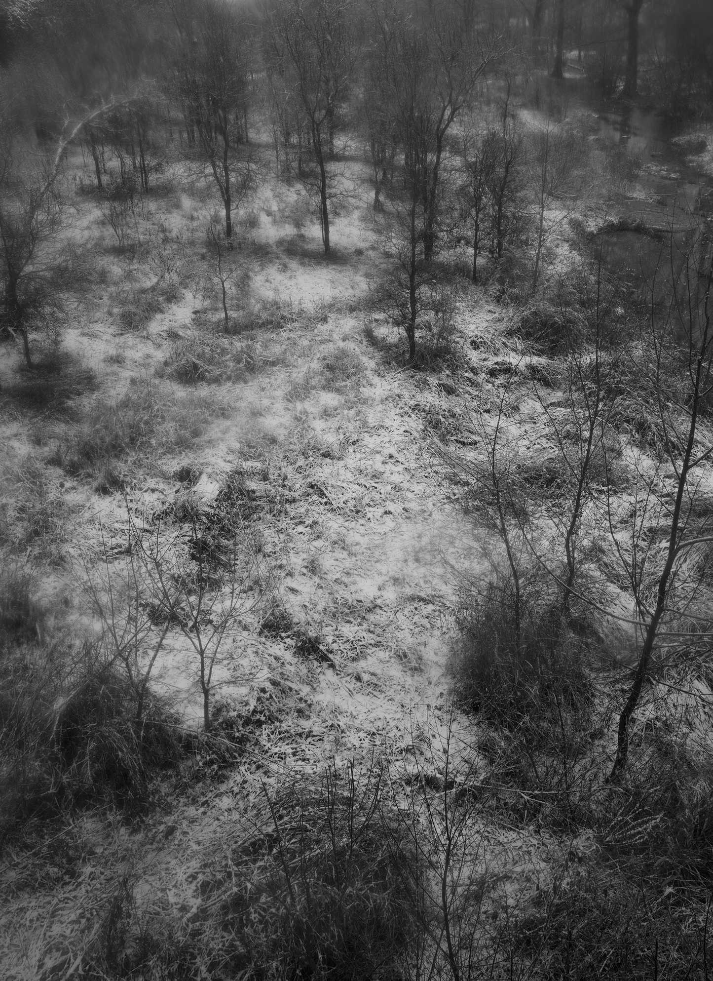 Trespasser - Bryan Schutmaat - County Road 13