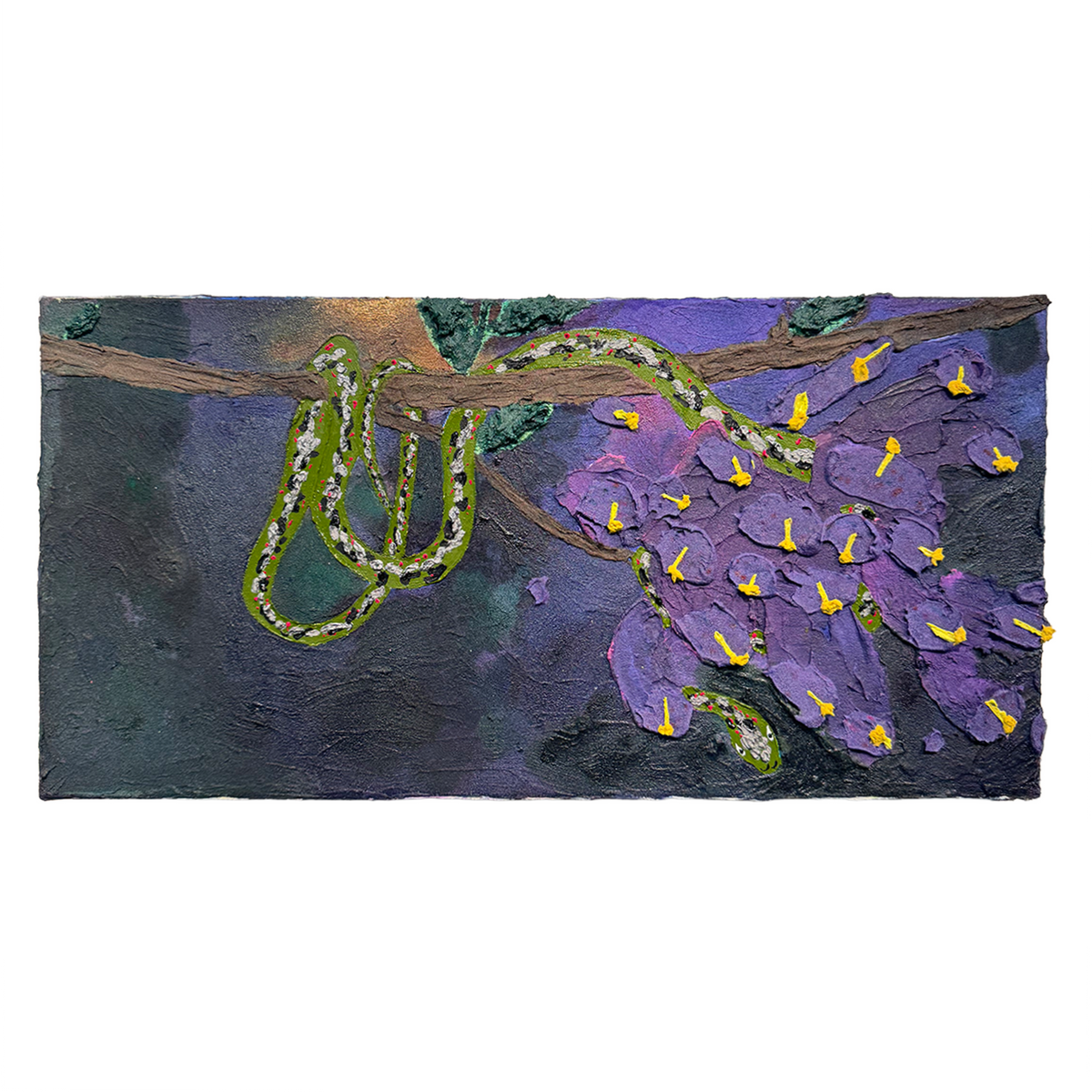 Jacaranda