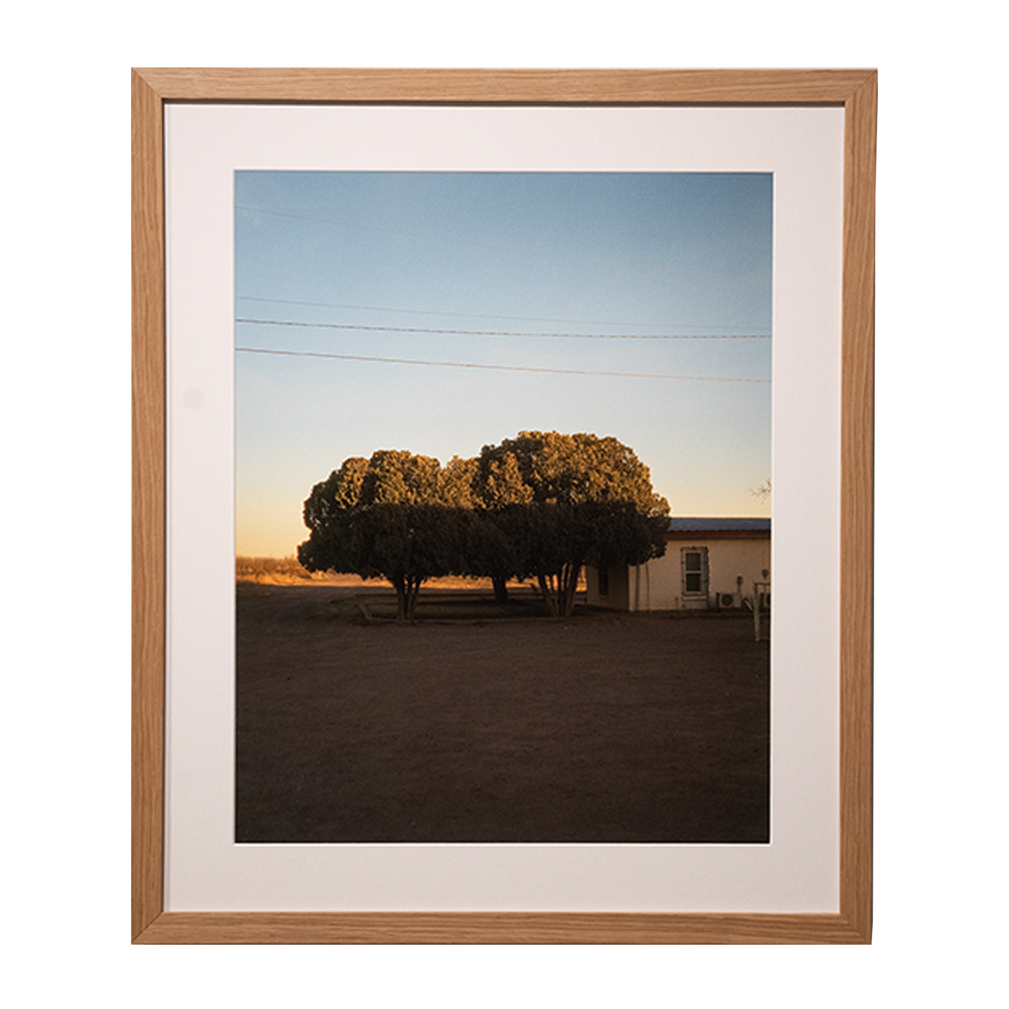 Tree Line, Sonic Ranch, TX By Nick Simonite