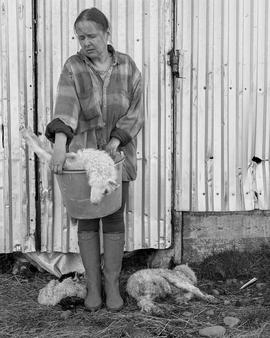 Trespasser - Agnieszka Sowsnowska - Untitled 4