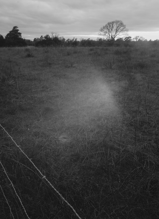 Trespasser - Bryan Schutmaat - County Road 3