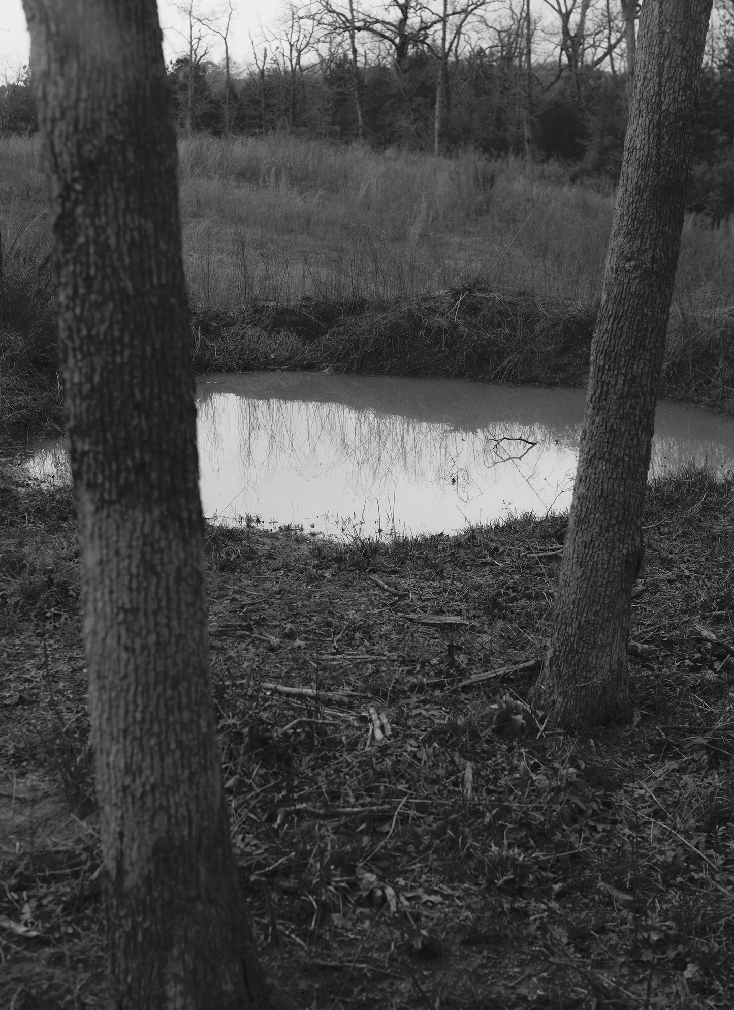 Trespasser - Bryan Schutmaat - County Road 8