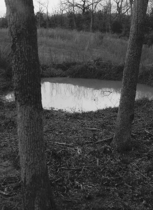 Trespasser - Bryan Schutmaat - County Road 8