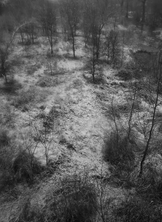Trespasser - Bryan Schutmaat - County Road 13