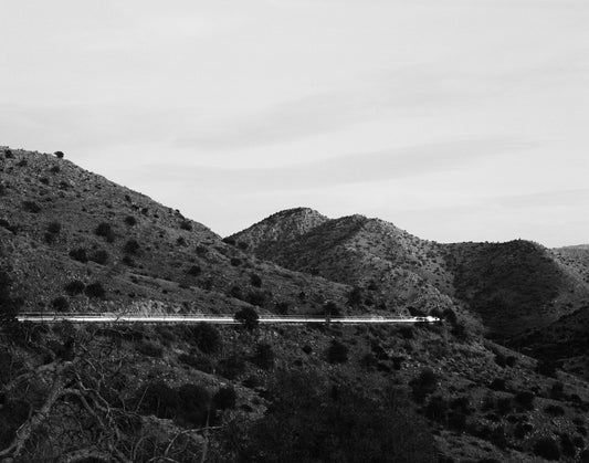 Trespasser - Andrea Koesters - Leaving Mt. Lemmon