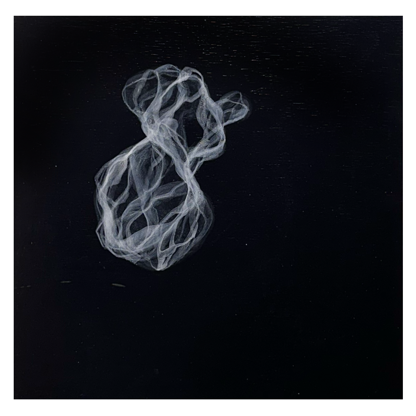 Blur: Jana Swec - Isolation