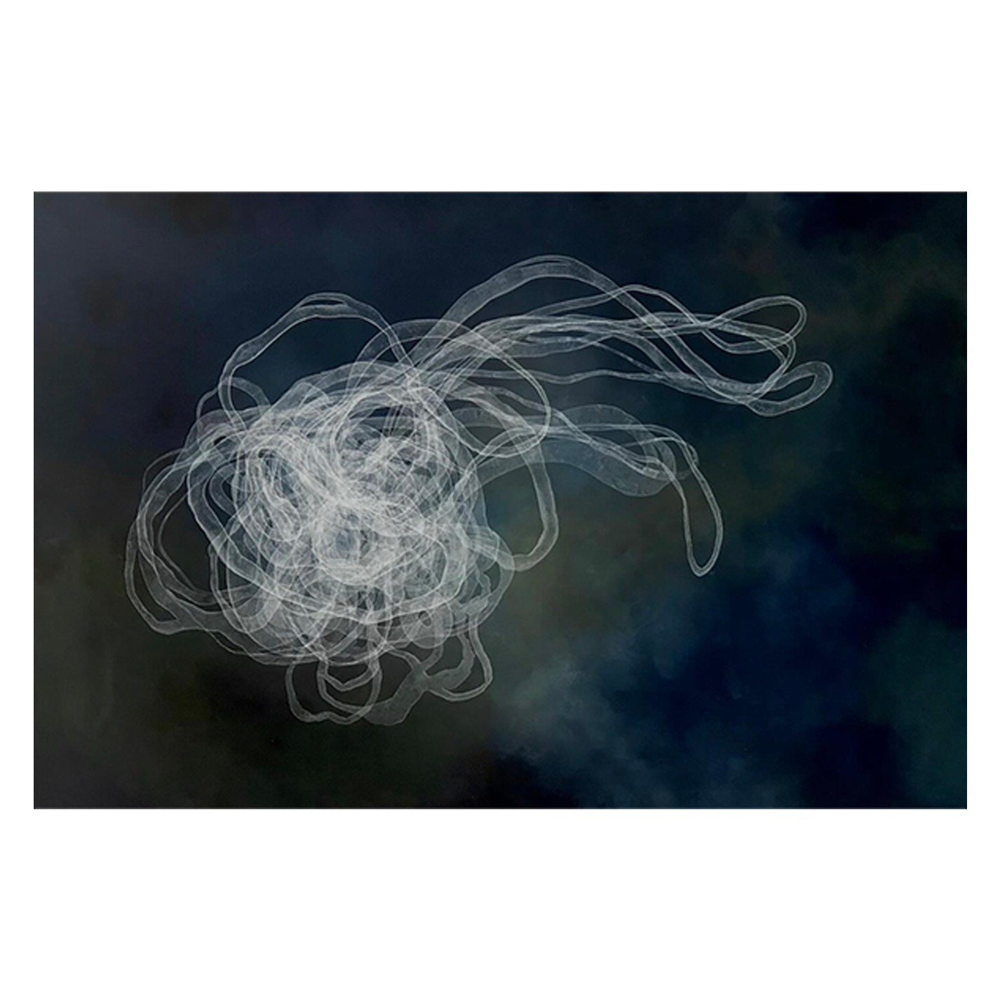 Blur: Jana Swec - Movement 2