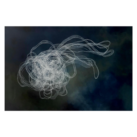 Blur: Jana Swec - Movement 2