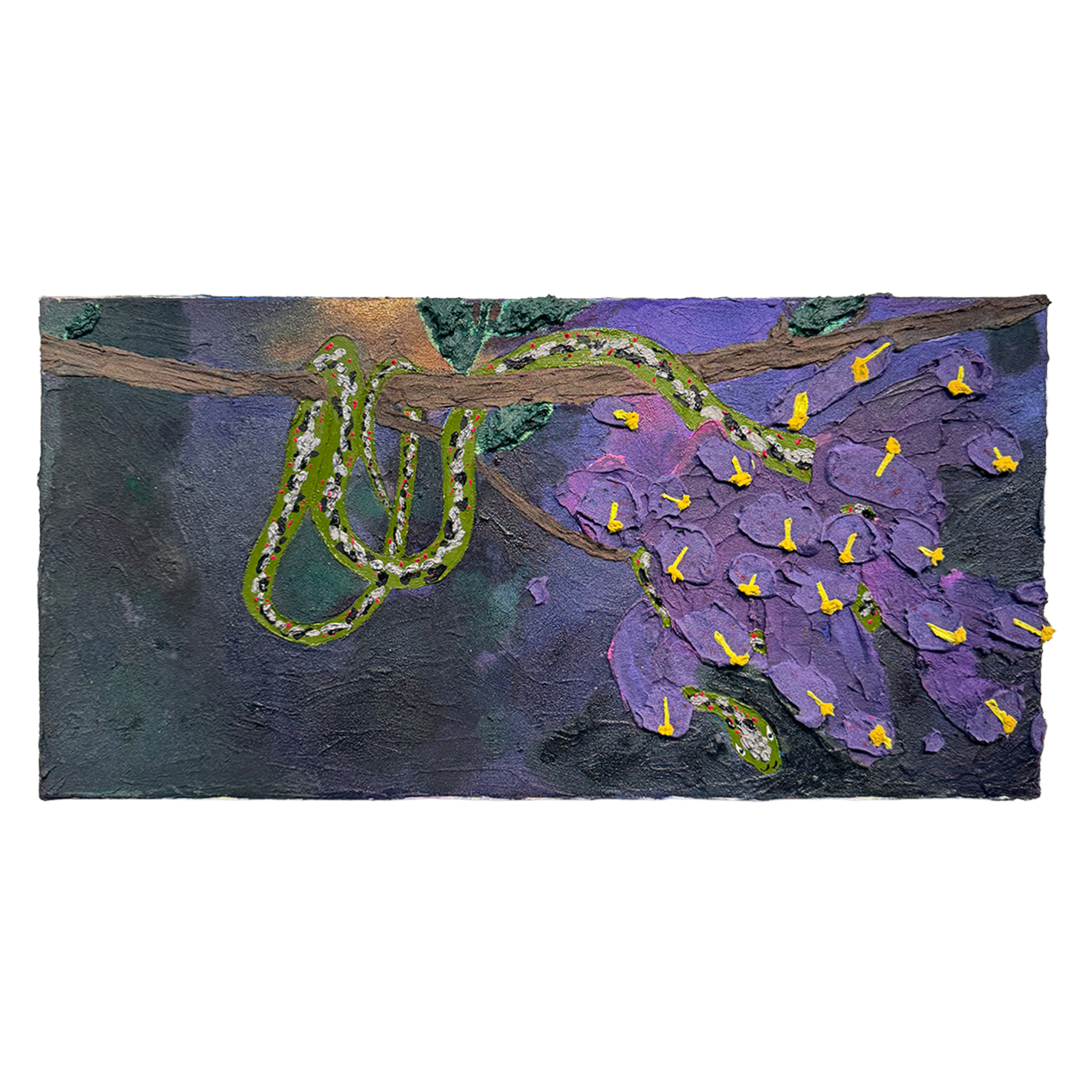 Jacaranda