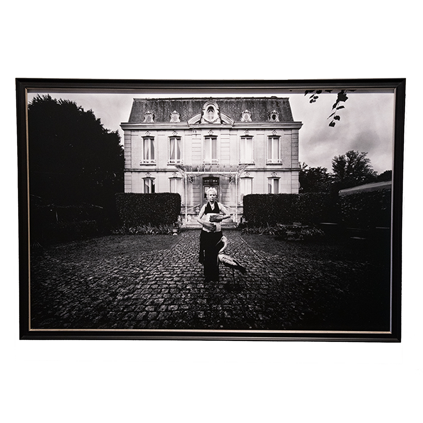 Doppelwelt: In the Hands of Oise By Alyssa Taylor Wendt