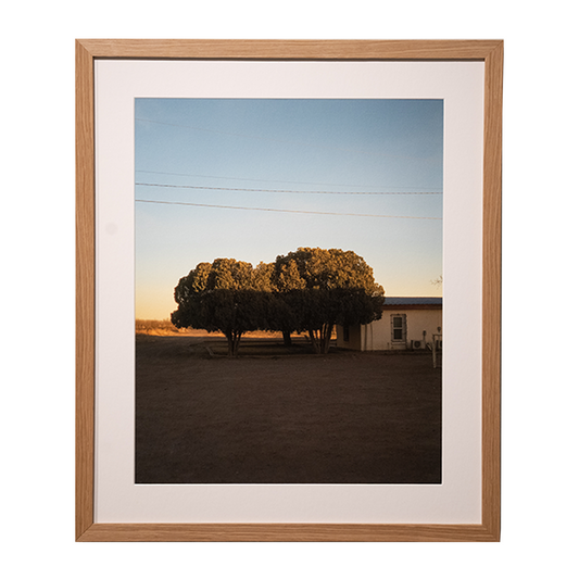 Tree Line, Sonic Ranch, TX By Nick Simonite
