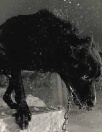 Trespasser - Mark Mahaney - Polar Night, 02