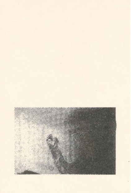 Trespasser - Deanna Pizzitelli - Camel, II 2024