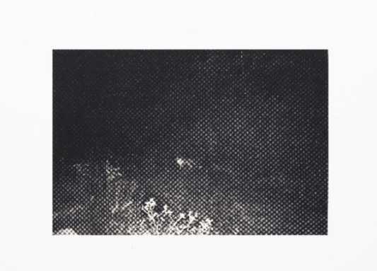 Trespasser - Deanna Pizzitelli - Líška, I 2024 - 2025