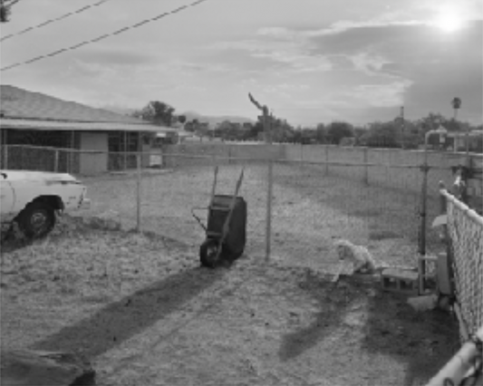 Trespasser - Matthew Genitempo Untitled 2 (Dogbreath)
