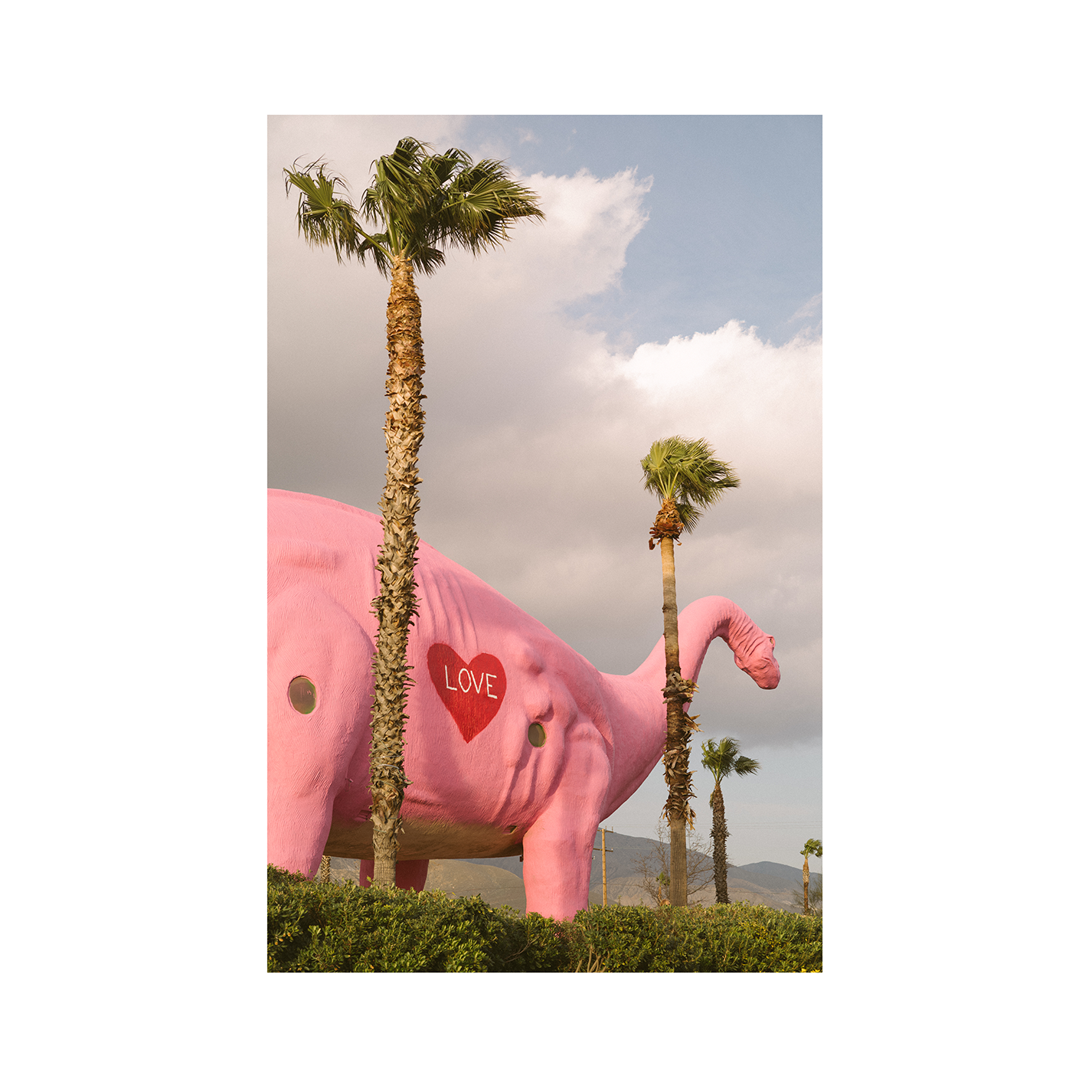 Pee-wee : Steven Clouse - Cabazon, CA [Feb 2022] Love