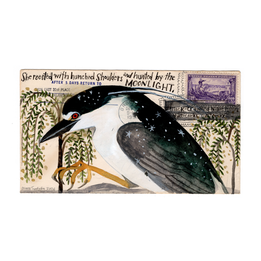 Blur : Diana Sudyka - Black-crowned Night Heron - New York