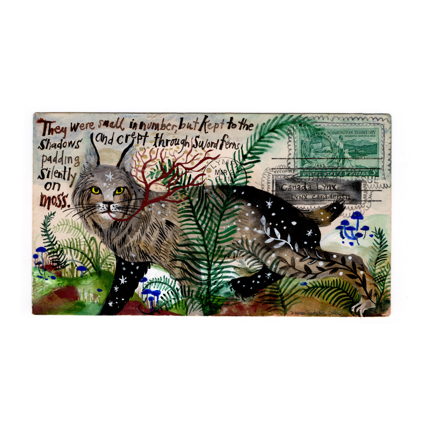 Blur : Diana Sudyka - Canadian Lynx - Washington