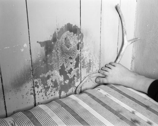 Trespasser - Agnieszka Sowsnowska - Untitled 1