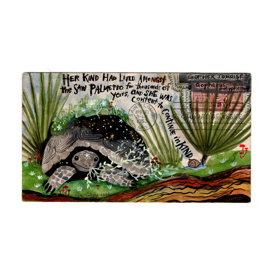 Blur : Diana Sudyka - Gopher Tortoise - Louisiana