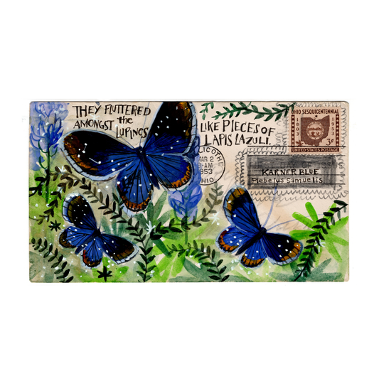 Blur : Diana Sudyka - Karner Blue - Ohio